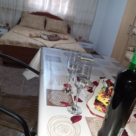 Studio-apartman Milena 2 Podgorica Exterior foto